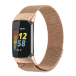 FITBIT BAND 3142